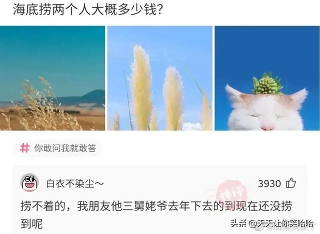 爆笑神评:相貌平平的985女学霸,颜值出众的女学渣,该怎么选? 爆笑神评:相貌平平的985女学霸,颜值出众的女学渣,该怎么选?