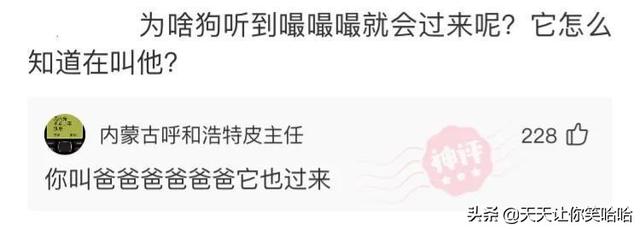 爆笑神评:相貌平平的985女学霸,颜值出众的女学渣,该怎么选? 爆笑神评:相貌平平的985女学霸,颜值出众的女学渣,该怎么选?