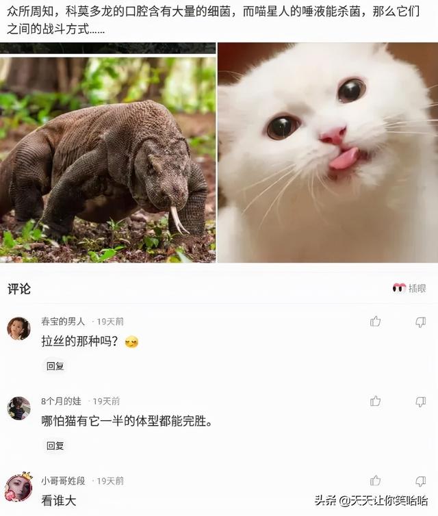 爆笑神评:相貌平平的985女学霸,颜值出众的女学渣,该怎么选? 爆笑神评:相貌平平的985女学霸,颜值出众的女学渣,该怎么选?
