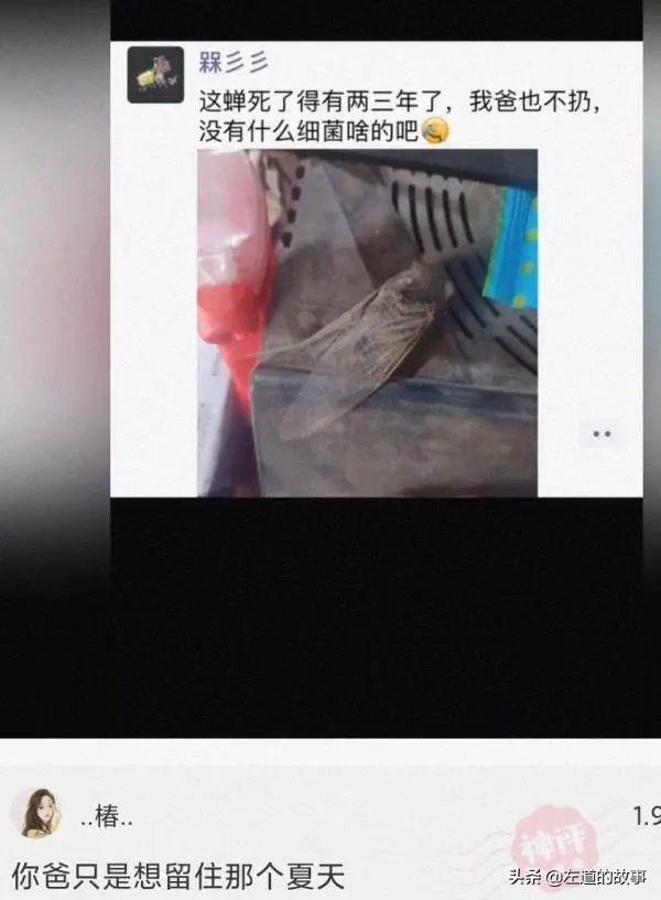 村里开了一家剧本杀,大妈大爷麻将都不打了,天天来店里抱头痛哭 村里开了一家剧本杀,大妈大爷麻将都不打了,天天来店里抱头痛哭