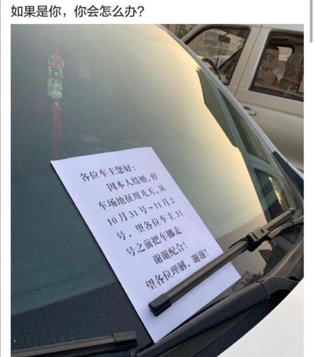 神评爆笑合集:跟姐姐相亲,我却看上了妹妹,我该怎么办啊? 神评爆笑合集:跟姐姐相亲,我却看上了妹妹,我该怎么办啊?