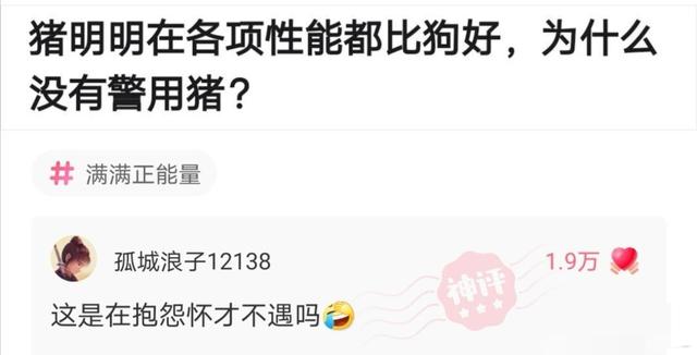神评爆笑合集:跟姐姐相亲,我却看上了妹妹,我该怎么办啊? 神评爆笑合集:跟姐姐相亲,我却看上了妹妹,我该怎么办啊?