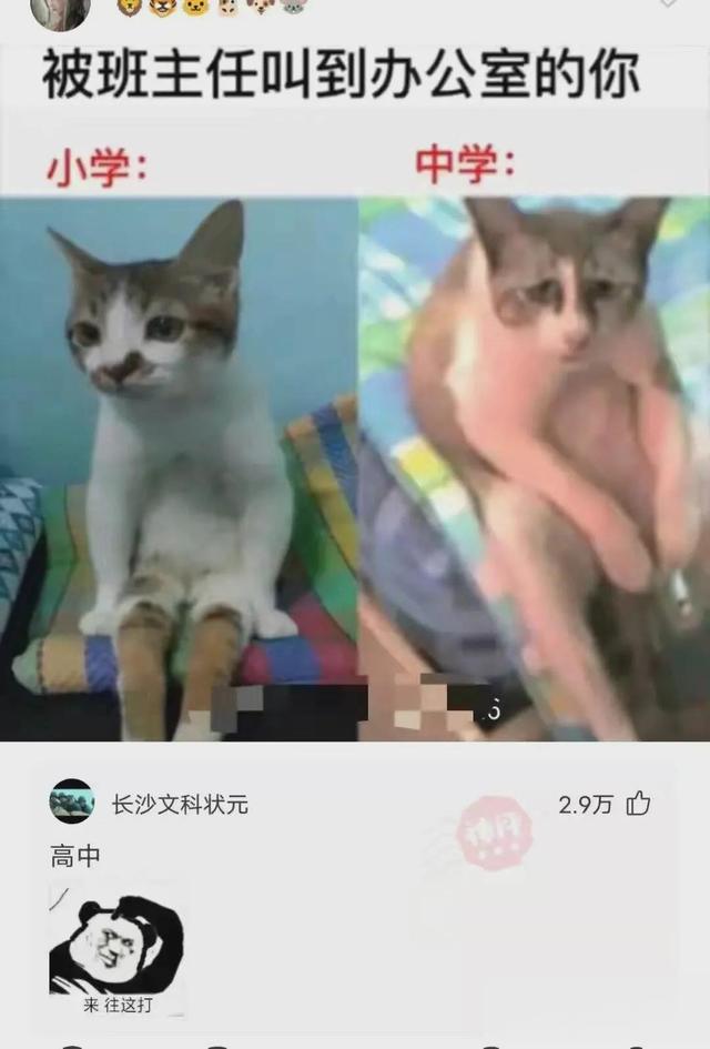 神回复:被电子厂开除了,厂里认识的女朋友还跟着,该怎么办 神回复:被电子厂开除了,厂里认识的女朋友还跟着,该怎么办