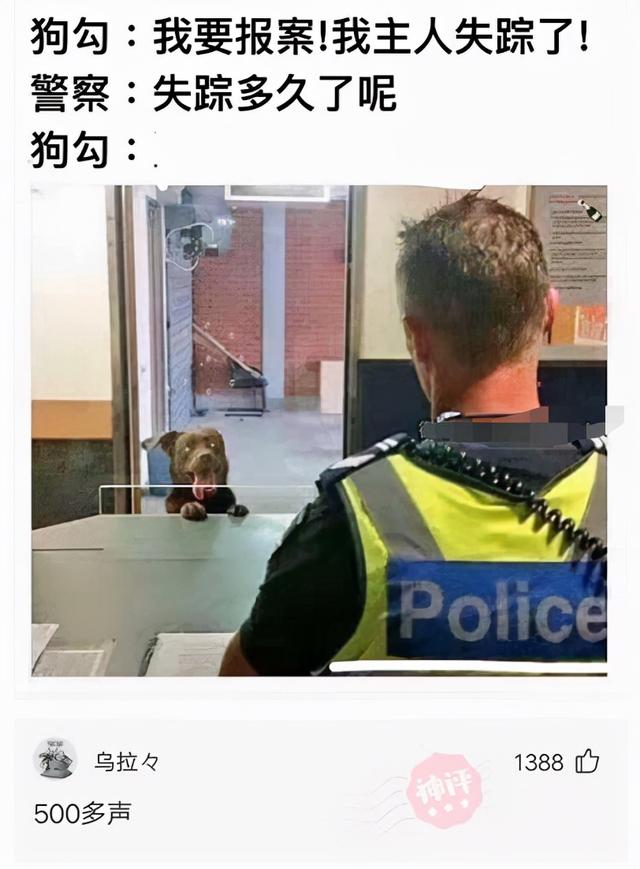神回复:被电子厂开除了,厂里认识的女朋友还跟着,该怎么办 神回复:被电子厂开除了,厂里认识的女朋友还跟着,该怎么办