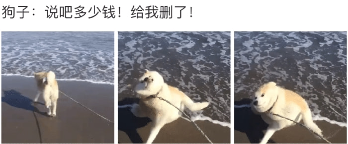 原来燕小六一直戴的是搓澡巾啊,这么久了刚发现... 原来燕小六一直戴的是搓澡巾啊,这么久了刚发现...