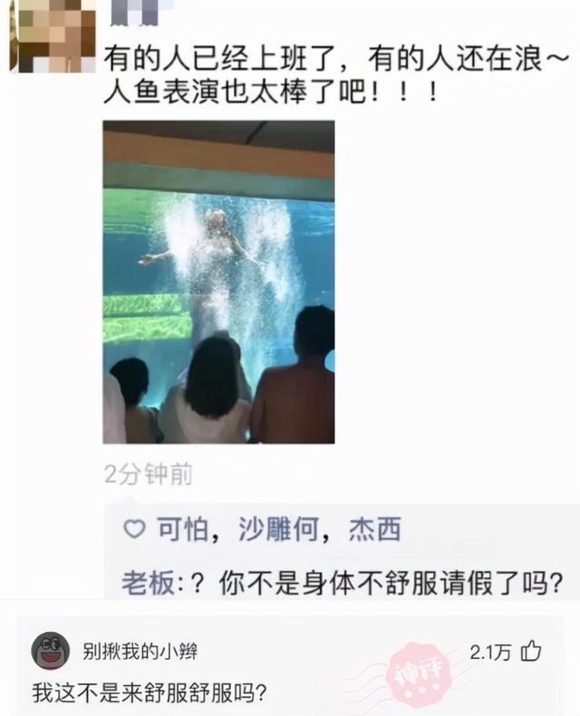 高级营销,90年代美国男子把晾衣绳包装成“太阳能干衣机” 高级营销,90年代美国男子把晾衣绳包装成“太阳能干衣机”