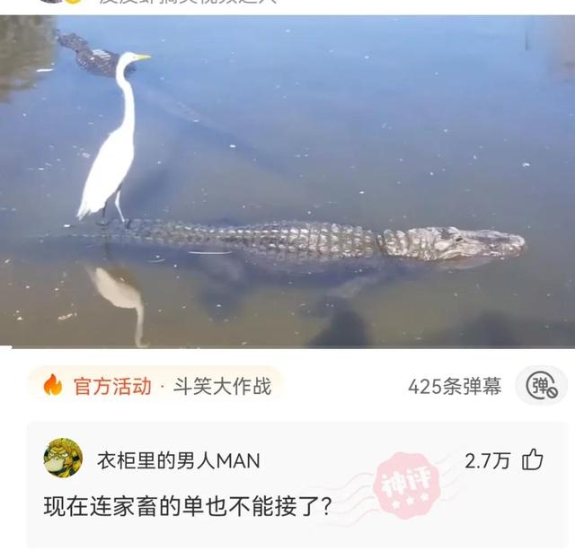 神回复：张继科长到底是哪个单位的科长呢？