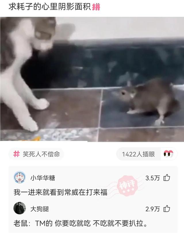 神回复：张继科长到底是哪个单位的科长呢？