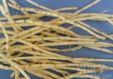 非常渴口的老家地里产的茅草根 非常渴口的老家地里产的茅草根