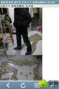 瓜子皮都这么有价值