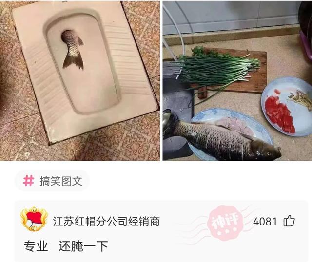 神回复:有没有喜欢贾玲那样的,我把小姨子介绍给他,不要彩礼 神回复:有没有喜欢贾玲那样的,我把小姨子介绍给他,不要彩礼
