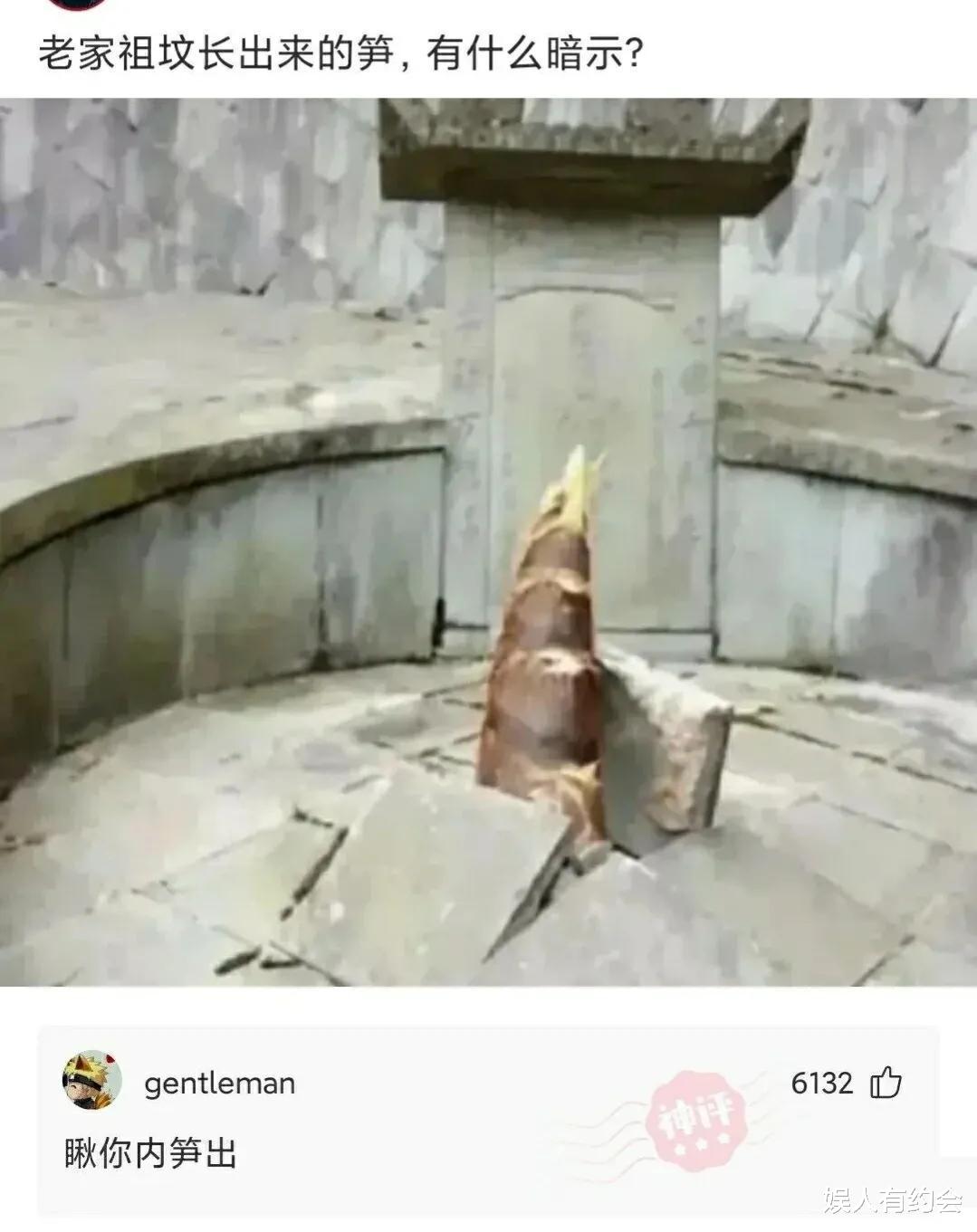 神回复:老家祖坟怎么冒出一颗笋?有什么说法?神评这是要笑死我 神回复:老家祖坟怎么冒出一颗笋?有什么说法?神评这是要笑死我