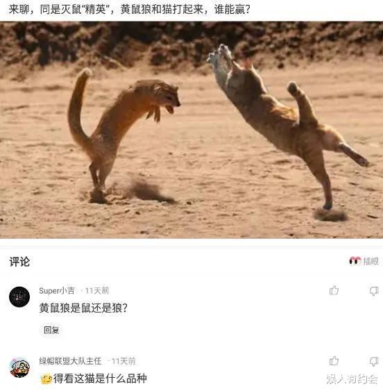 神回复:老家祖坟怎么冒出一颗笋?有什么说法?神评这是要笑死我 神回复:老家祖坟怎么冒出一颗笋?有什么说法?神评这是要笑死我