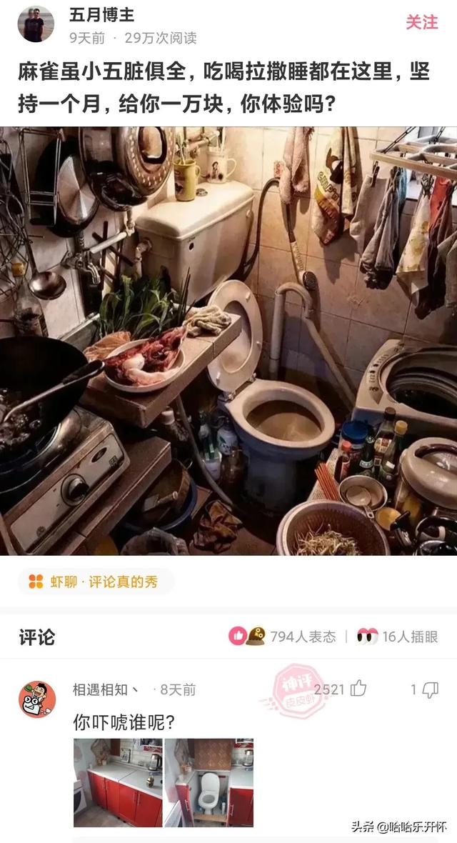 神评爆笑合集:丈母娘说自己不胜酒力,我觉得就是不想刷碗,哈哈 神评爆笑合集:丈母娘说自己不胜酒力,我觉得就是不想刷碗,哈哈