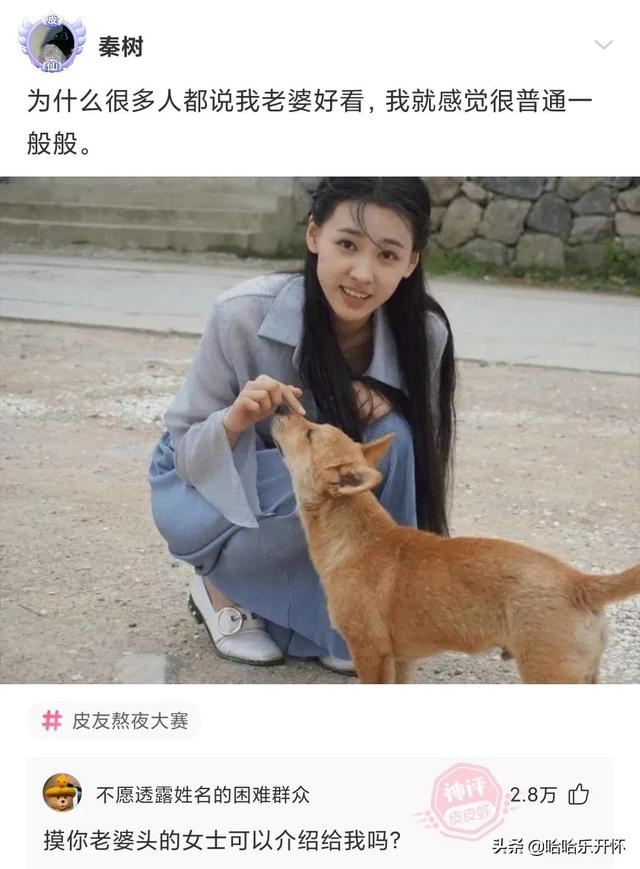 神评爆笑合集:丈母娘说自己不胜酒力,我觉得就是不想刷碗,哈哈 神评爆笑合集:丈母娘说自己不胜酒力,我觉得就是不想刷碗,哈哈