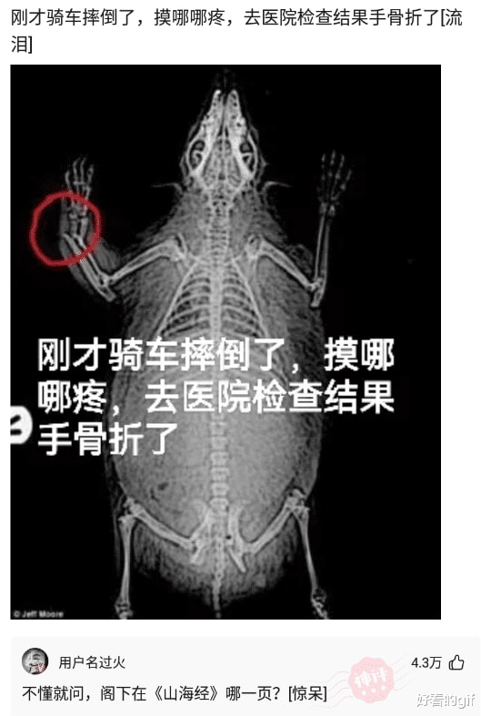 神回复:不懂就问,牛头腰间不是别了两把枪吗,为啥他不用? 神回复:不懂就问,牛头腰间不是别了两把枪吗,为啥他不用?