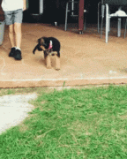 不行,还是很费劲呀 不行,还是很费劲呀