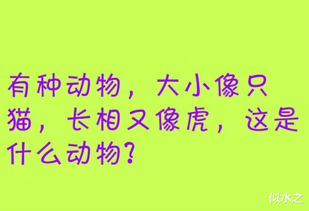 “为什么KTV没人喝白酒?”,神评永远都是那么给力! “为什么KTV没人喝白酒?”,神评永远都是那么给力!