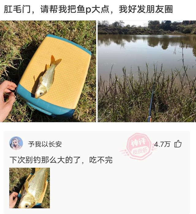 神回复:答应我,下次别钓这么大,一顿吃不完 神回复:答应我,下次别钓这么大,一顿吃不完