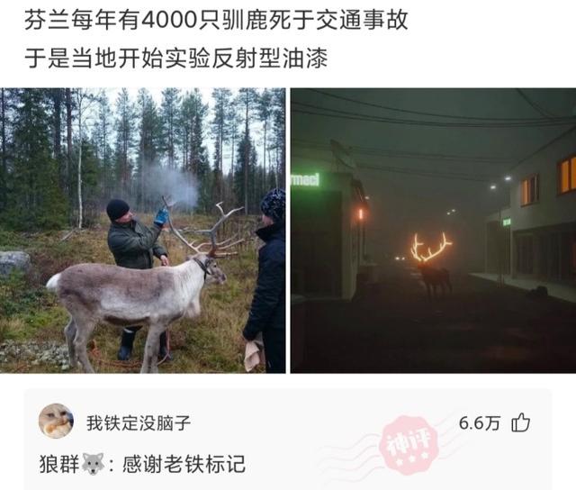 神回复:我把老婆的这个摔碎了,请问下多少钱? 神回复:我把老婆的这个摔碎了,请问下多少钱?