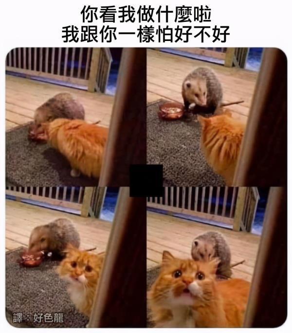 神回复:我把老婆的这个摔碎了,请问下多少钱? 神回复:我把老婆的这个摔碎了,请问下多少钱?