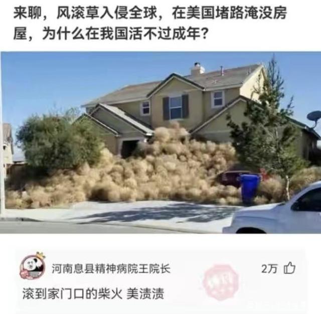 神回复:我把老婆的这个摔碎了,请问下多少钱? 神回复:我把老婆的这个摔碎了,请问下多少钱?