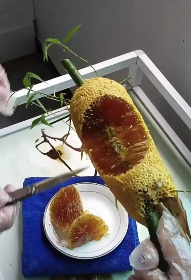 老婆坐老板的车出差,这墨镜反光,感觉有点不太对劲 老婆坐老板的车出差,这墨镜反光,感觉有点不太对劲