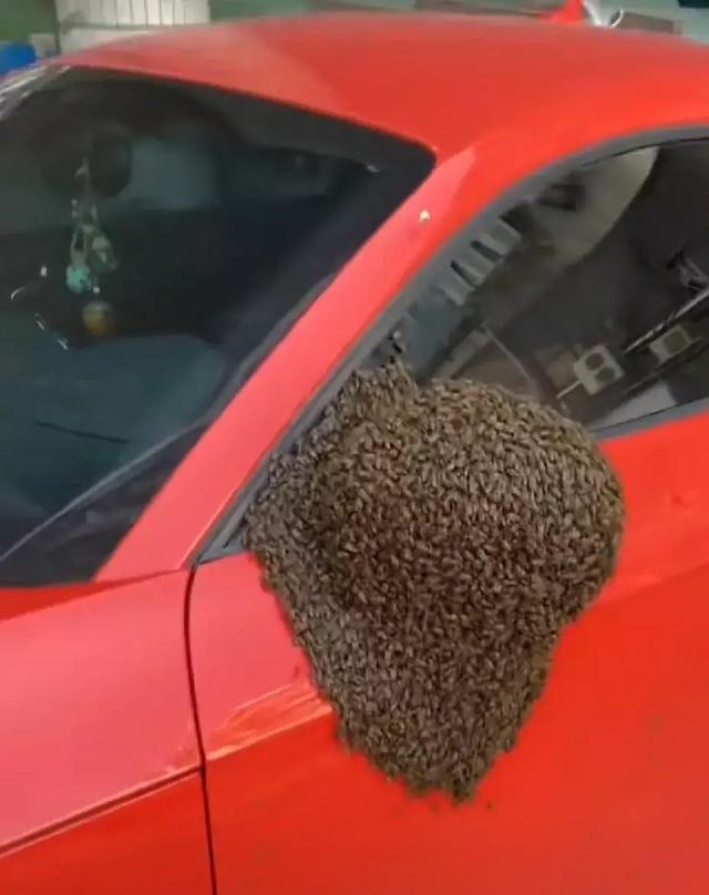 老婆坐老板的车出差,这墨镜反光,感觉有点不太对劲 老婆坐老板的车出差,这墨镜反光,感觉有点不太对劲