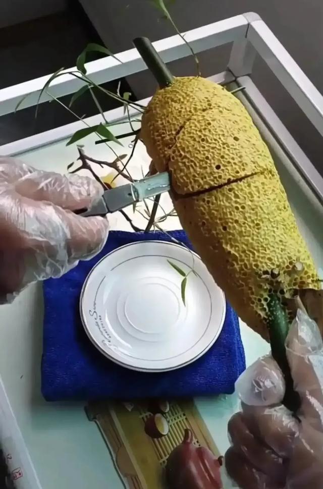 老婆坐老板的车出差,这墨镜反光,感觉有点不太对劲 老婆坐老板的车出差,这墨镜反光,感觉有点不太对劲