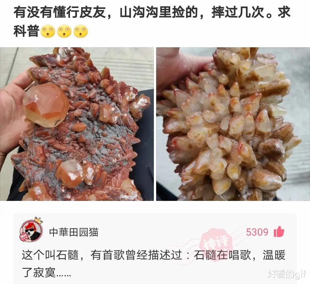 神回复：为什么海边的农民一旦捕捉到青蟹就说发财了，青蟹到底多少钱一斤呢？