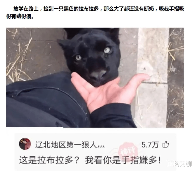 神回复:抽了一盒烟也没想明白,妈妈是怎么看上爸爸的?神评亮了 神回复:抽了一盒烟也没想明白,妈妈是怎么看上爸爸的?神评亮了