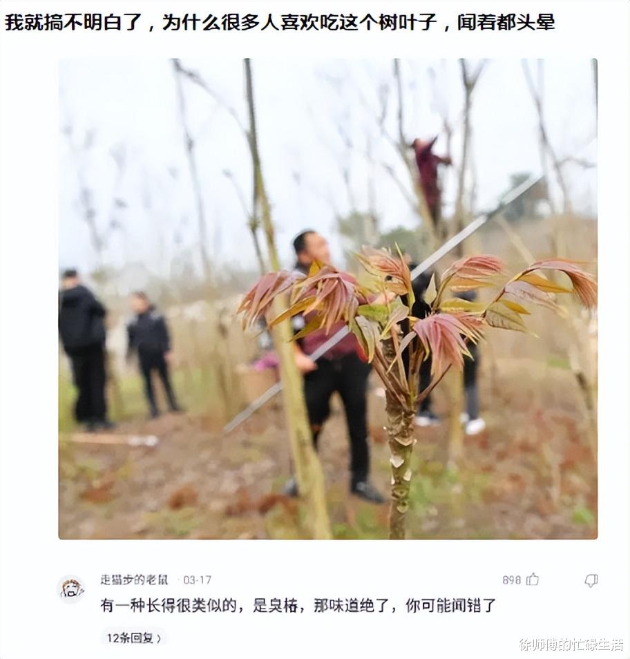 "能用普通话念出他名字的人还没出生!"你敢试试吗? "能用普通话念出他名字的人还没出生!"你敢试试吗?