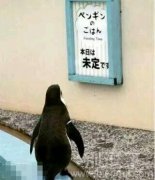 今日投食时间未定