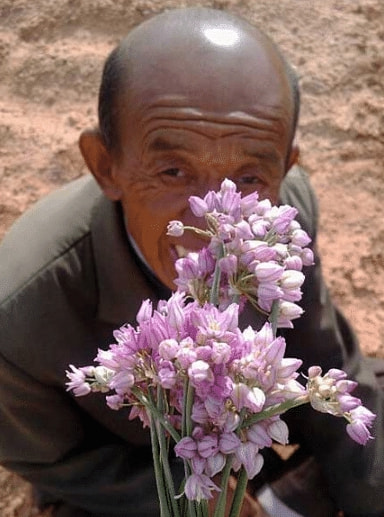 多好的一颗“白菜”，竟然被“猪”拱了，真是可惜了啊