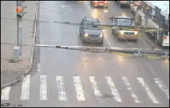 奔跑哥 跟随其后。