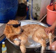 就是这么炫酷，你管得着吗