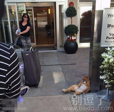 老板生意不错吧? 老板生意不错吧?