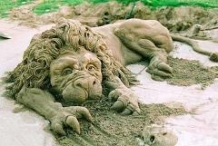 一只濒临死亡的狮子。