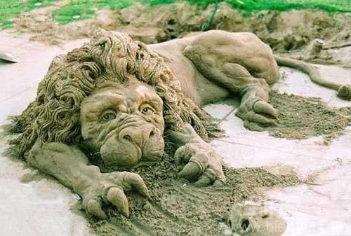 一只濒临死亡的狮子。