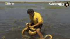 今晚加餐咯 今晚加餐咯