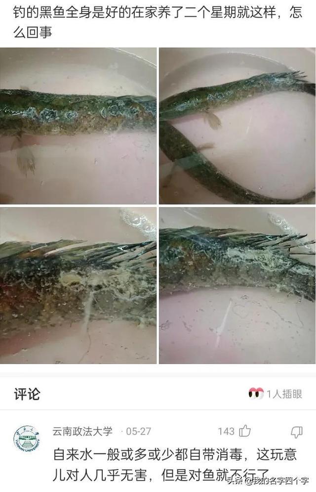 神回复：搞不懂我舅妈怎么看上我舅舅的