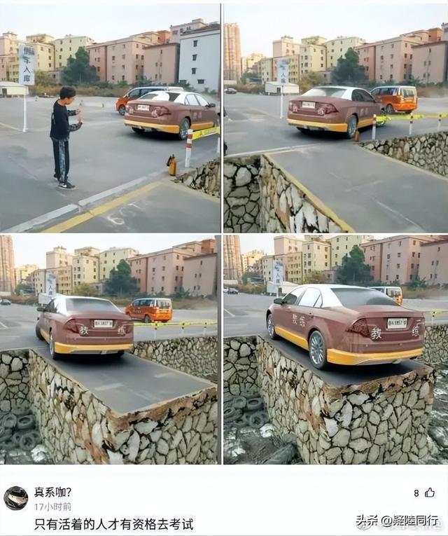 爆笑神回复:听说吃河豚可以返老还童,是真的吗? 爆笑神回复:听说吃河豚可以返老还童,是真的吗?