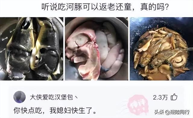 爆笑神回复：听说吃河豚可以返老还童，是真的吗？