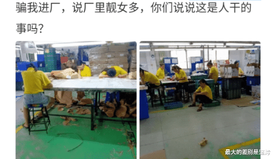 “骗我进厂,说厂子里面靓女多,你们看看这是人干的事吗?”哇哈哈哈哈哈~ “骗我进厂,说厂子里面靓女多,你们看看这是人干的事吗?”哇哈哈哈哈哈~