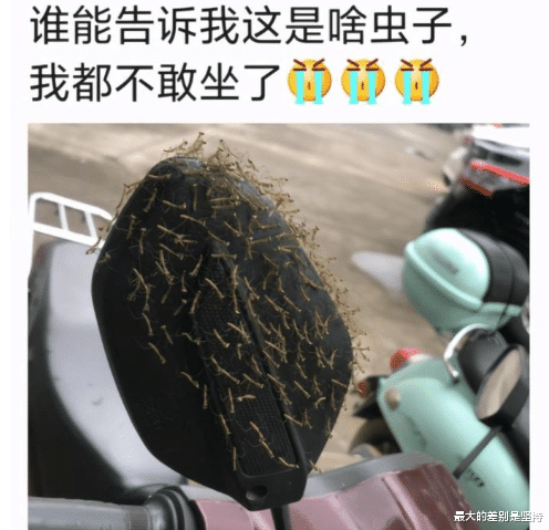 “骗我进厂,说厂子里面靓女多,你们看看这是人干的事吗?”哇哈哈哈哈哈~ “骗我进厂,说厂子里面靓女多,你们看看这是人干的事吗?”哇哈哈哈哈哈~