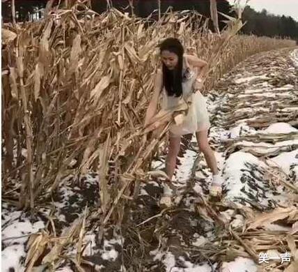“如果关羽纵马挥刀向你冲来,如何才能保证自己不死?”神评真机智啊! “如果关羽纵马挥刀向你冲来,如何才能保证自己不死?”神评真机智啊!