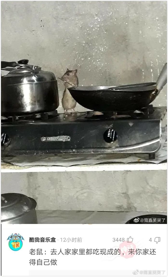 一年轻女子仗着长得漂亮，竟用屁股做这种事!