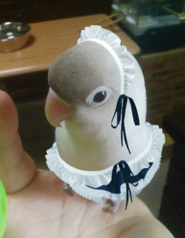 一年轻女子仗着长得漂亮，竟用屁股做这种事!