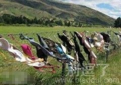 辣么没节操的旅游点 辣么没节操的旅游点