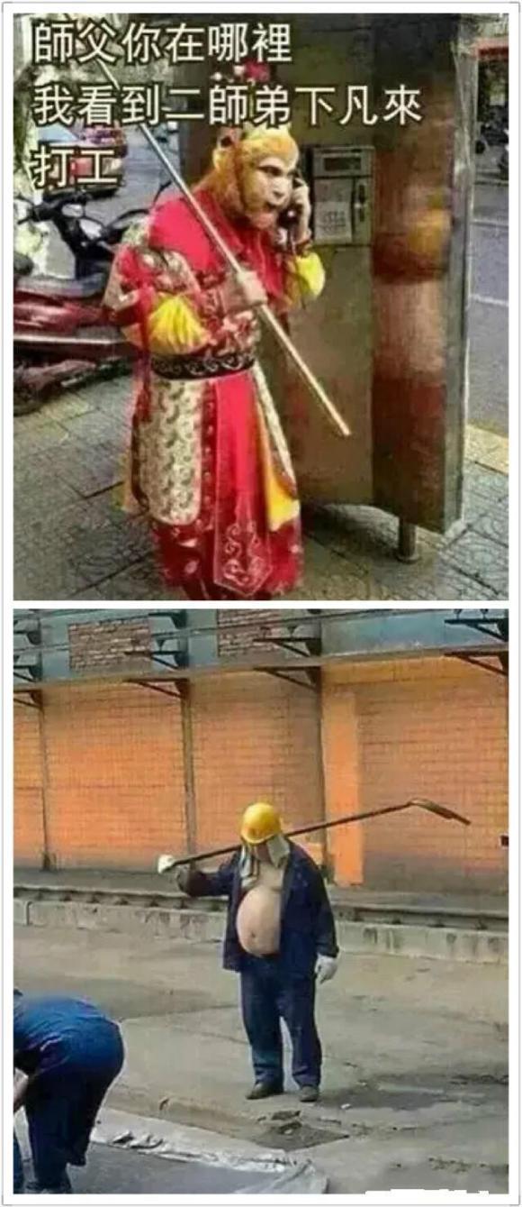 八戒又下来了 八戒又下来了